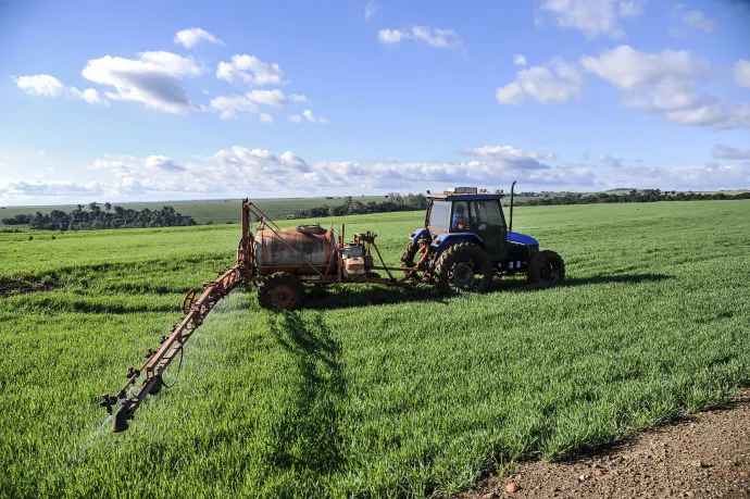 Növényvédőt szórnak Brazília Paraná államában – Fotó: Anderson Coelho / iStockphoto / Getty Images