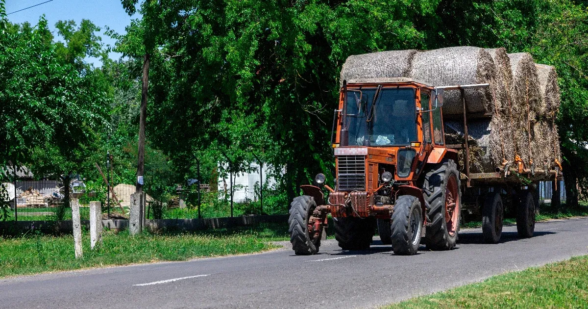 Kevesebbet termelt idén a magyar mezőgazdaság, de azt drágábban
