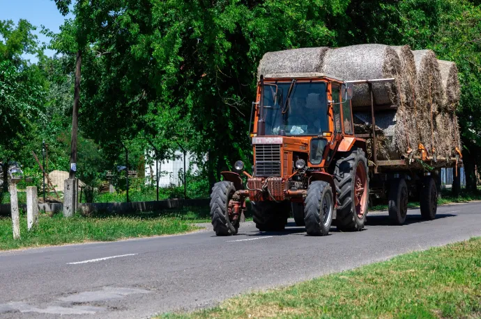 Kevesebbet termelt idén a magyar mezőgazdaság, de azt drágábban