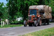 Kevesebbet termelt idén a magyar mezőgazdaság, de azt drágábban