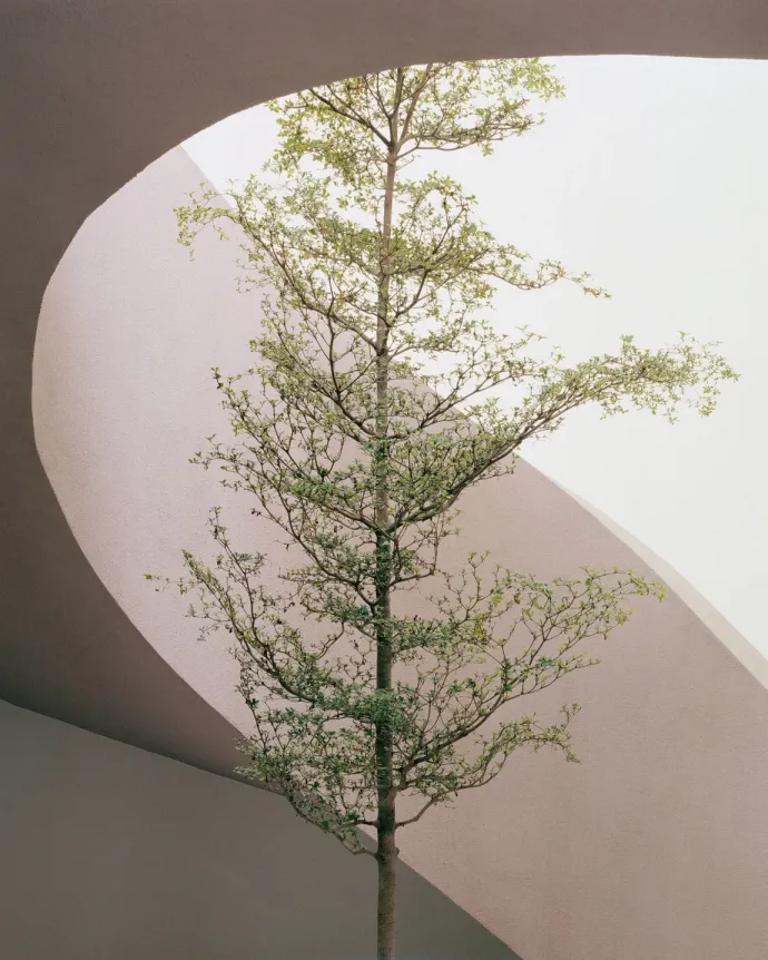 Fotó: Budapest Építészeti Nívódíja