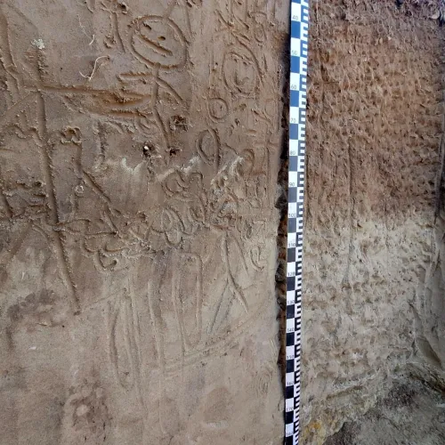 Itt a talaj világnapja, be is mutatták 2025 talajszelvényét