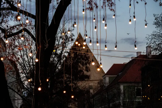 Fotó: Tamás Zsófia / Transtelex