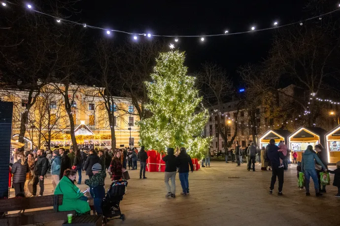 Fotó: Tamás Zsófia / Transtelex