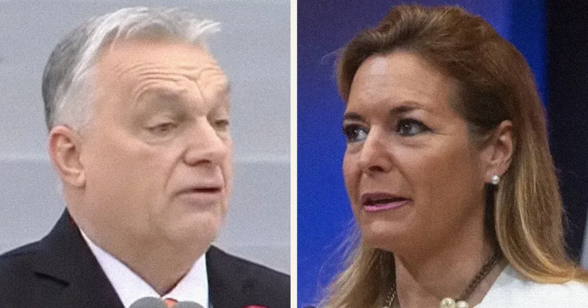 Szájkarate: „Átteleltek a poloskák” vs. „A saját lakásában is fotózhatott csótányt”