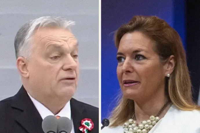 Szájkarate: „Átteleltek a poloskák” vs. „A saját lakásában is fotózhatott csótányt”