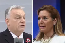 Szájkarate: „Átteleltek a poloskák” vs. „A saját lakásában is fotózhatott csótányt”