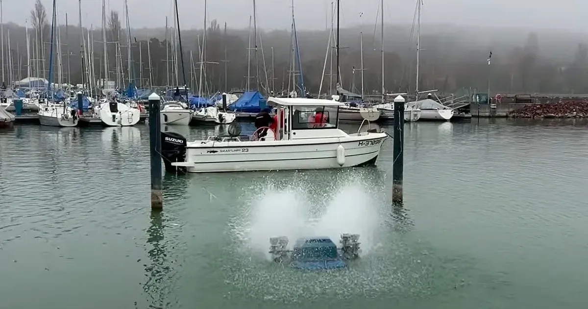 Kevés volt az oxigén, fuldokoltak a halak a balatonaligai kikötőben