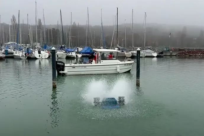 Kevés volt az oxigén, fuldokoltak a halak a balatonaligai kikötőben