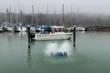 Kevés volt az oxigén, fuldokoltak a halak a balatonaligai kikötőben