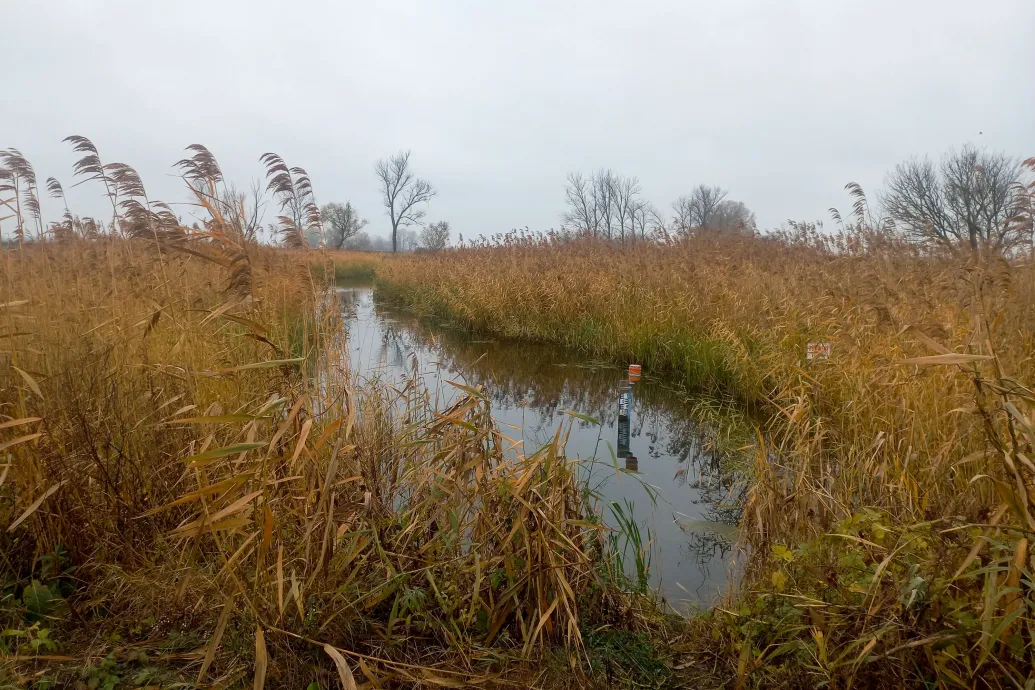 Amíg csak a tervezés ötmillió forint, a gazda rázni fogja a fejét, mint a csökönyös ló