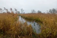 Amíg csak a tervezés ötmillió forint, a gazda rázni fogja a fejét, mint a csökönyös ló