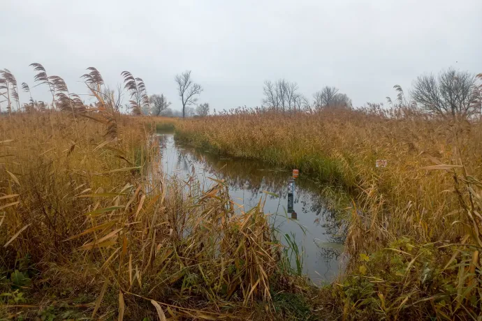 Amíg csak a tervezés ötmillió forint, a gazda rázni fogja a fejét, mint a csökönyös ló