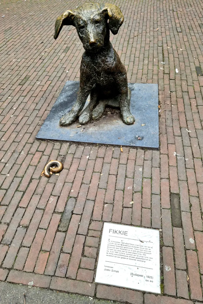 Fotó: Ághassi Attila / Telex