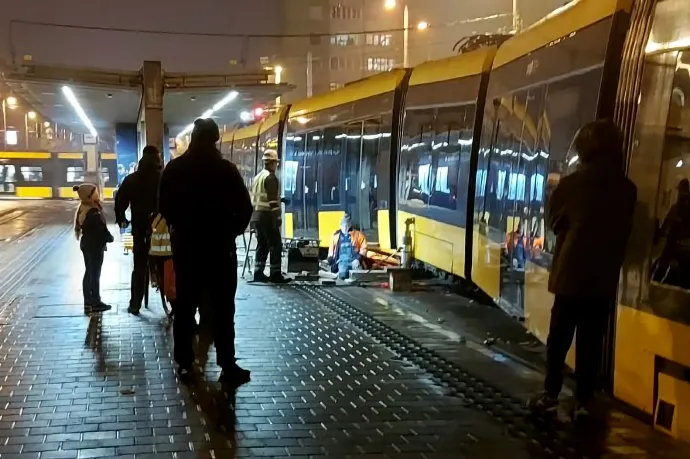 Fotó: Somogyi Péter / Telex és olvasónk, Zsombor