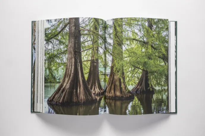 Részlet a könyvből – Forrás: Matuzsalemek.hu