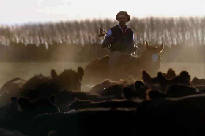 Megcsúsztathatta a világ legnagyobb szabadkereskedelmi övezetét az EP