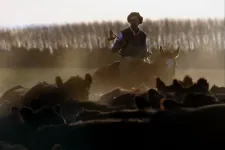 Megcsúsztathatta a világ legnagyobb szabadkereskedelmi övezetét az EP