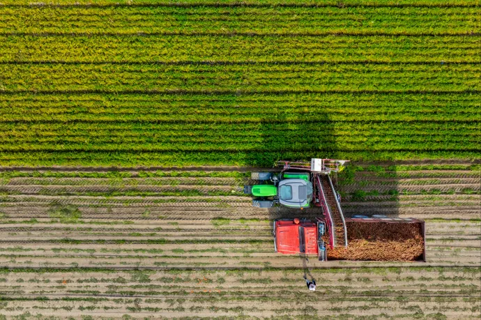 Visszavonták a tanulmányt, ami azt állította, hogy nem rákkeltő az EU-ban is használt gyomirtó