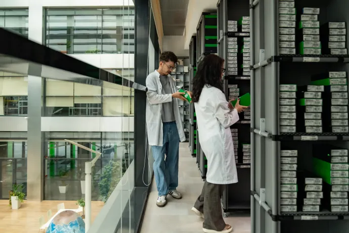 Az eladási rekorder iPhone-okat keressük felújított készülékként (x)