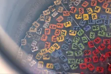 A rák kockázatát növelő génmutációt hordozott egy spermadonor, Magyarországra is jutott az ivarsejtjeiből