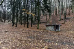 Mesebeli kulipintyó az erdő közepén: de miért kerek Törpapa mecseki kunyhója?