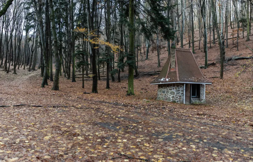 Mesebeli kulipintyó az erdő közepén: de miért kerek Törpapa mecseki kunyhója?