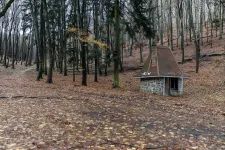 Mesebeli kulipintyó az erdő közepén: de miért kerek Törpapa mecseki kunyhója?