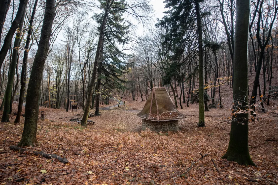Mesebeli kulipintyó az erdő közepén: de miért kerek Törpapa mecseki kunyhója?