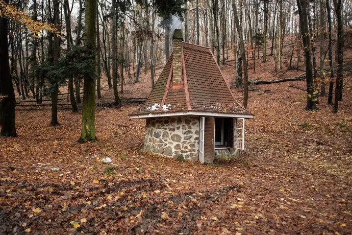 Fotó: Bődey János / Telex