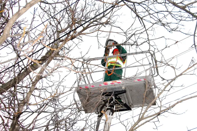 Miért kell a gallyazás? Az áramellátás és a biztonságunk is múlik rajta
