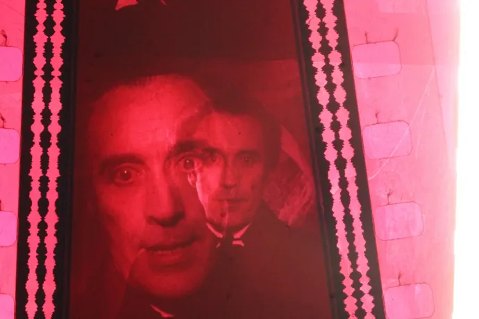 Telex Diszpó december 12-től december 19-ig