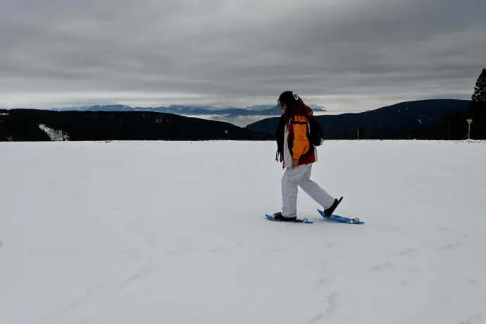 Rogla – Fotó: Tenczer Gábor / Telex