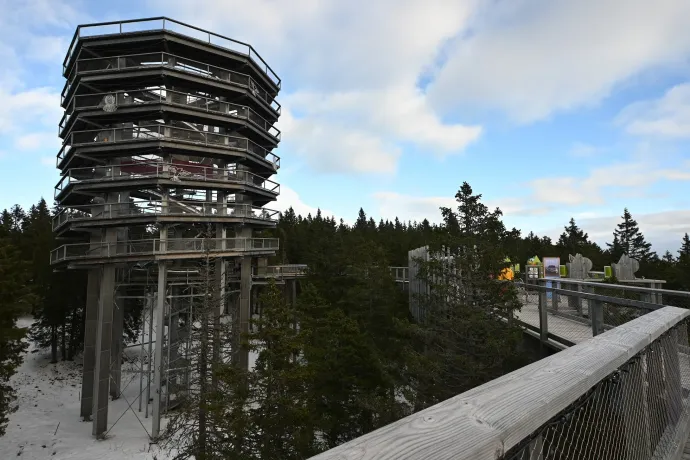 Rogla – Fotó: Tenczer Gábor / Telex