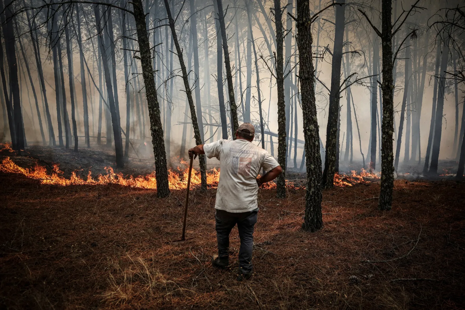 A helyzet a portugál Trancoso település közelében 2025. augusztus 13-án – Fotó: Pedro Nunes / Reuters