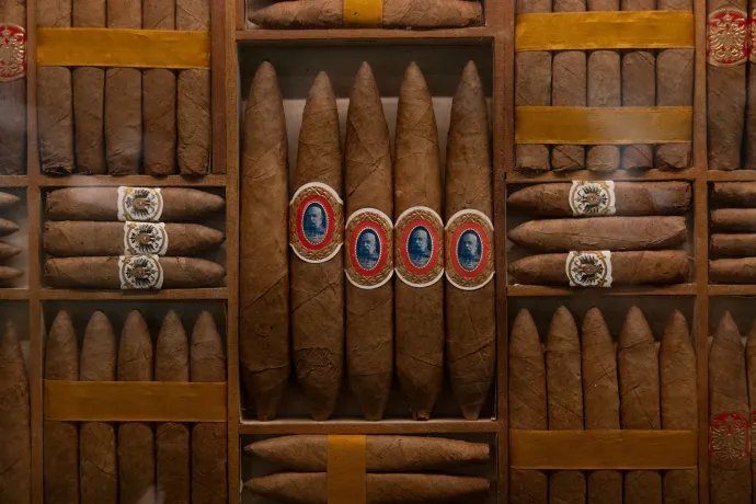 Fotó: Hevesi-Szabó Lujza / Telex