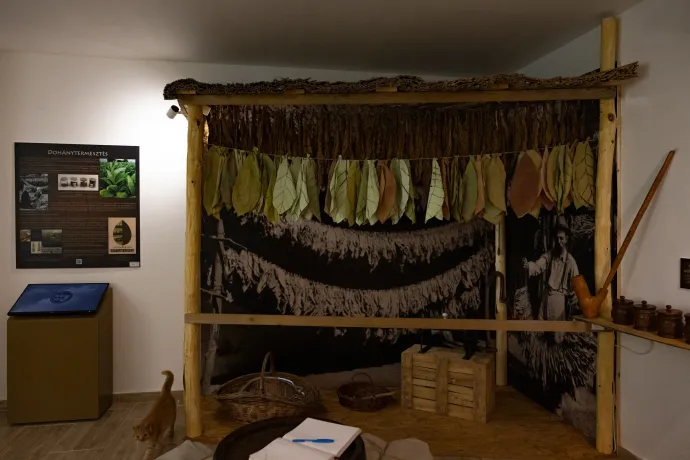 Fotó: Hevesi-Szabó Lujza / Telex