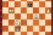 Sakkfeladvány: ha a figurák összehangolására figyel, garantált a siker