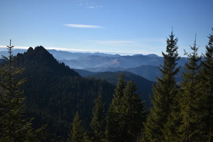 Fotó: Tőkés Hunor / Transtelex