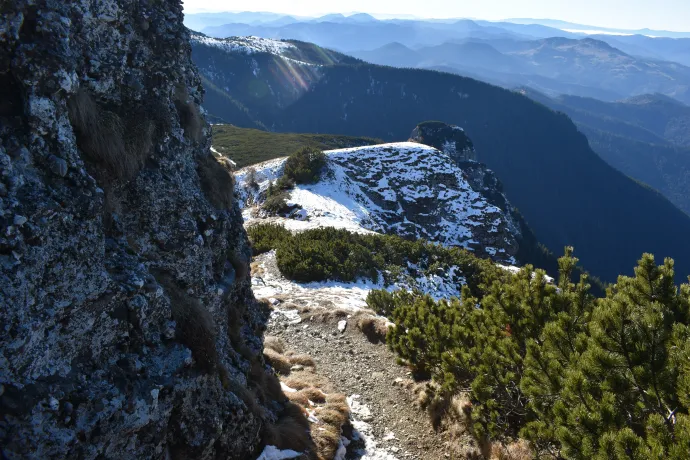 Út a Tóka felé – Fotó: Tőkés Hunor / Transtelex