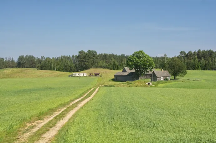 Németország katonákat küld Lengyelország keleti, Belarusszal és Oroszországgal közös határára