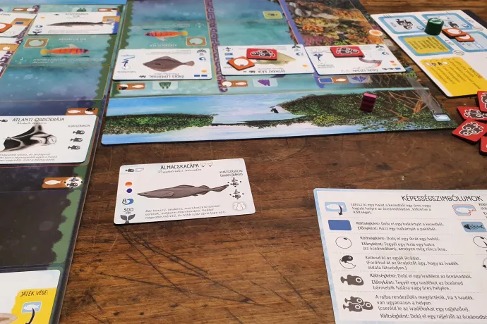 Fotó: Nádori Gergely