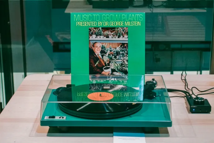 Liftzene a fikusznak: a hetvenes években több lemezt is kiadtak növényeknek