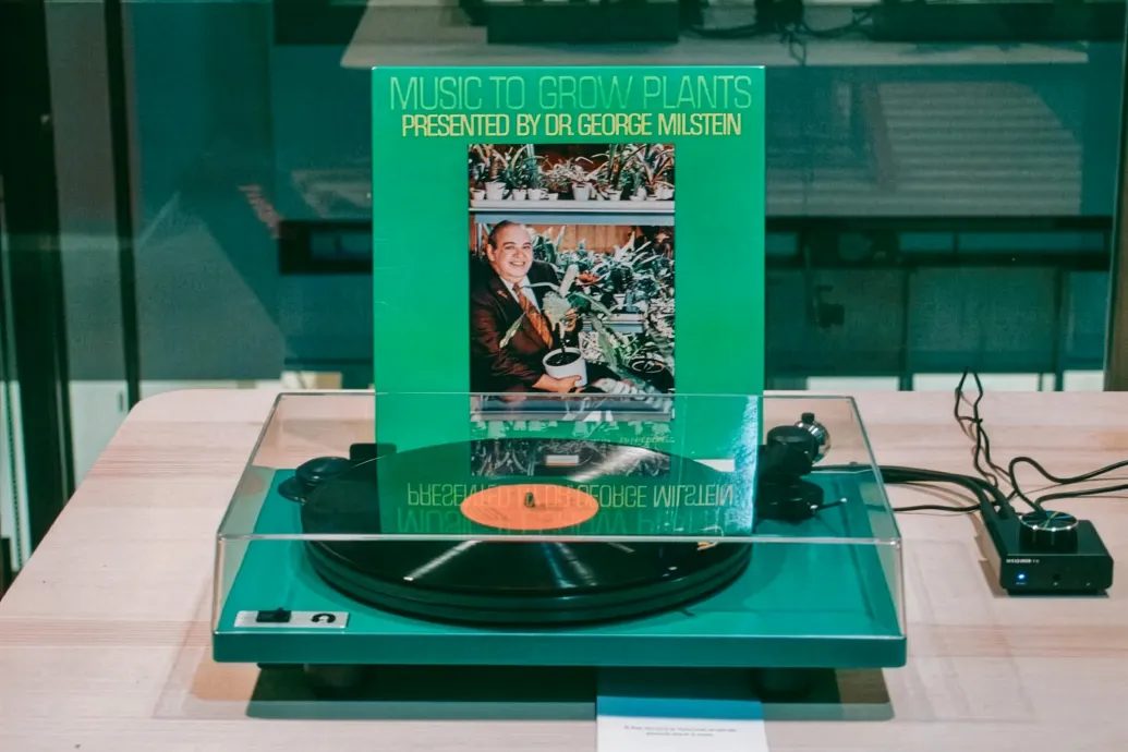 Liftzene a fikusznak: a hetvenes években több lemezt is kiadtak növényeknek