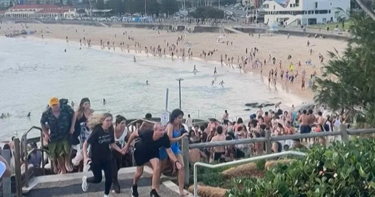 Felébredt a kómából és eszméleténél van a Bondi Beach fiatalabb merénylője