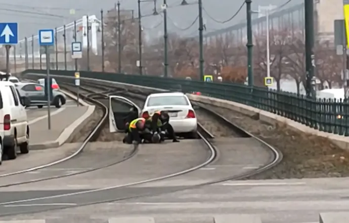 Fotó: Olvasói fotó / Telex