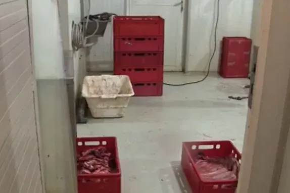 Vér és rozsda: horrorba illő vadhúsfeldolgozót záratott be a Nébih