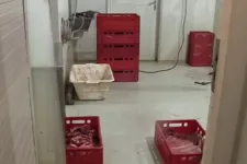 Vér és rozsda: horrorba illő vadhúsfeldolgozót záratott be a Nébih