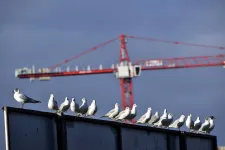 Az árak már elszálltak, most jöhetnek az Otthon Start-os lakásépítések