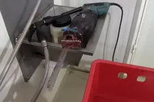 Több tonna élelmiszert vontak ki a forgalomból egy vadhúsfeldolgozónál a Nébih ellenőrzésén